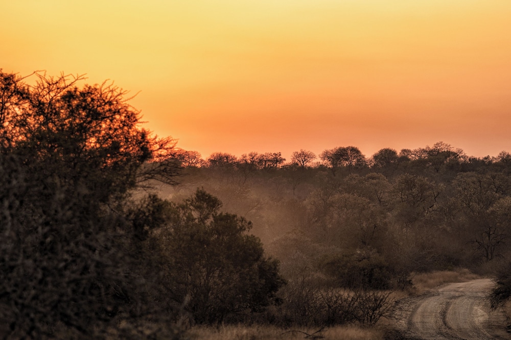 Rhino Walking Safaris 25/41