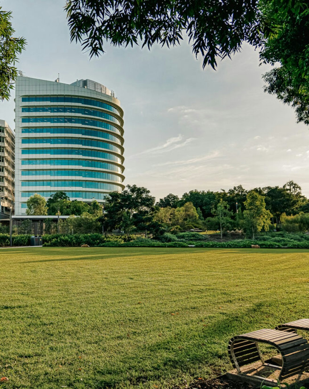 PALMS CITY RESORT 54/63