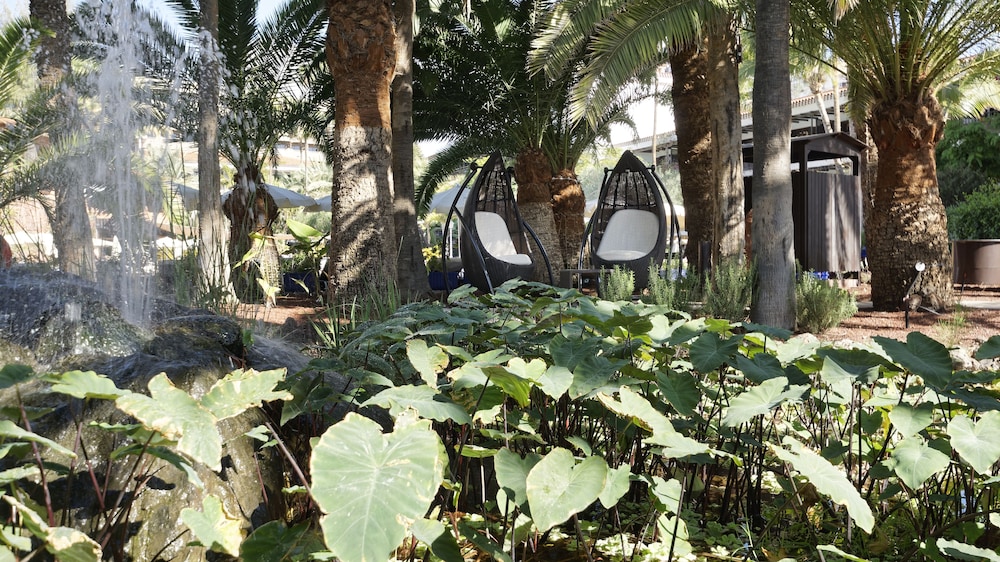 Parque Tropical Hotel 50/66