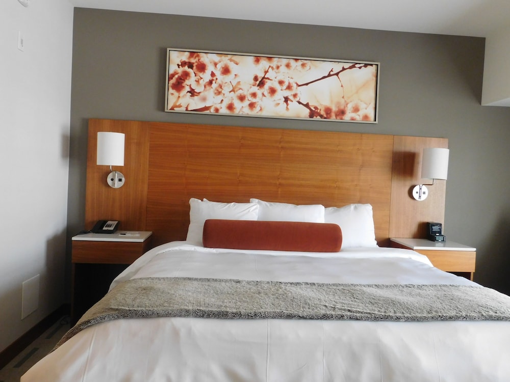 Radisson Hotel & Conference Centre Calgary Airport 20/78