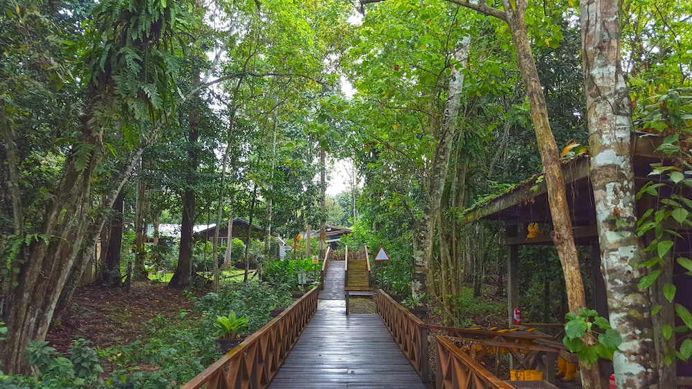 Borneo Nature Lodge 15/18