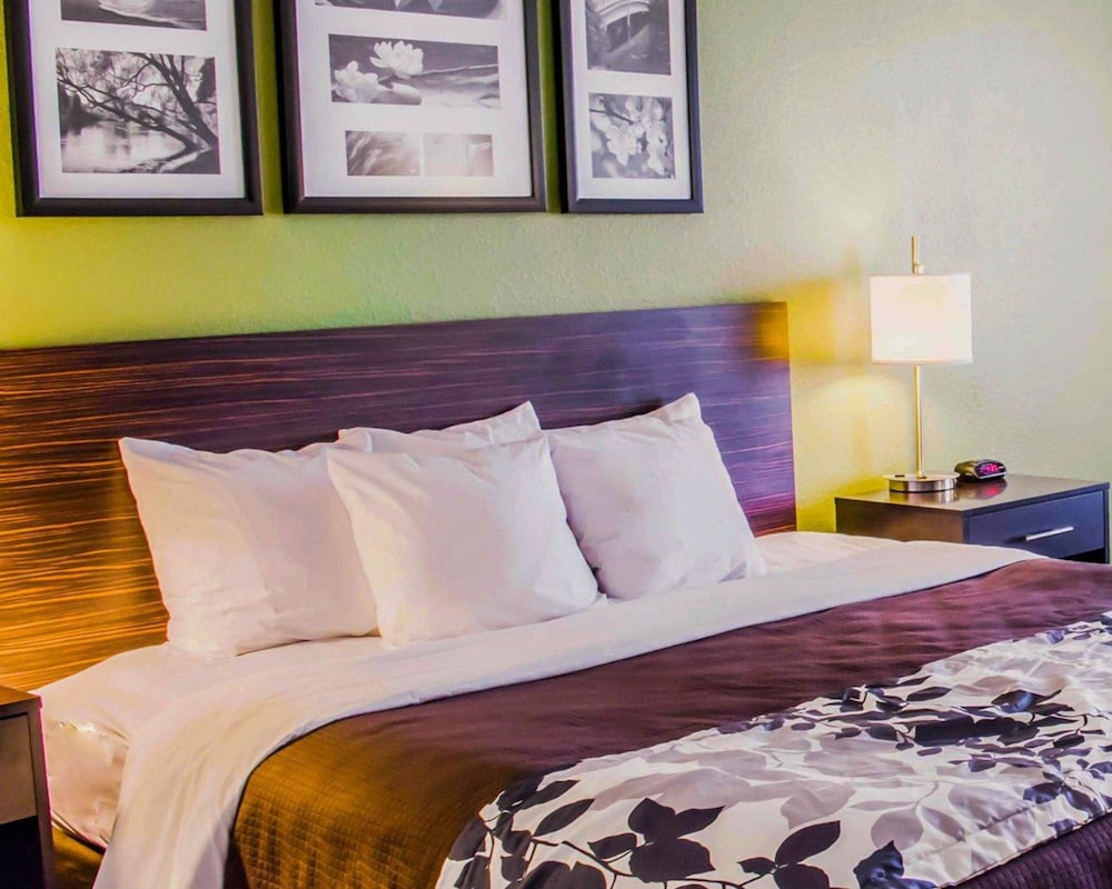 Sleep Inn & Suites Virginia Horse Center 13/53