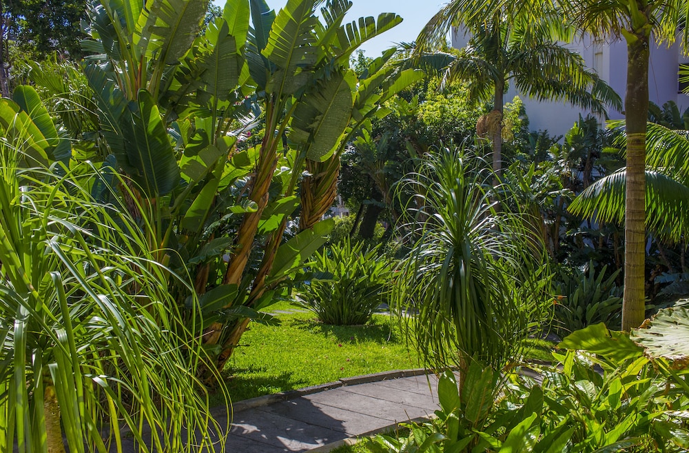 Dorisol Buganvilia Studio Hotel 66/71