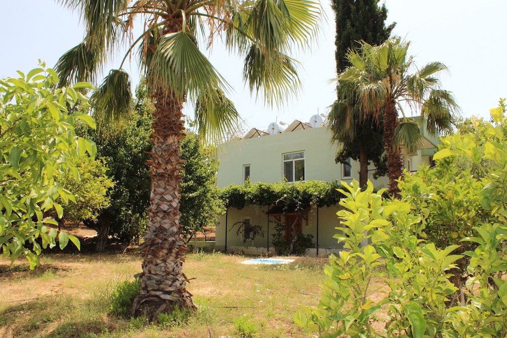 Patara Caretta Hotel 41/50