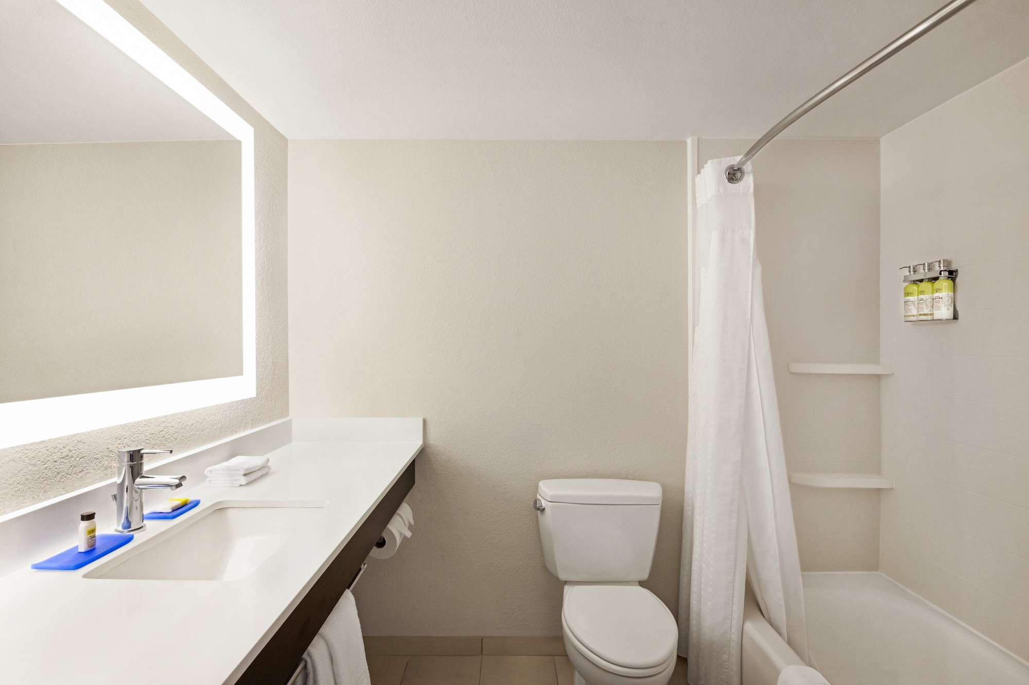 غرفة قياسية بسرير كينج، Holiday Inn Express Hotel & Suites Sarasota East - I-75 3/3