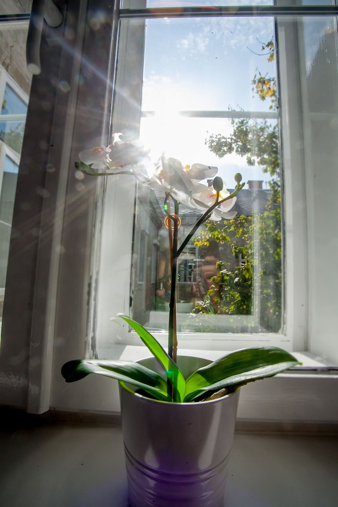 Zagreb City Vibe Apartments & Rooms 38/41