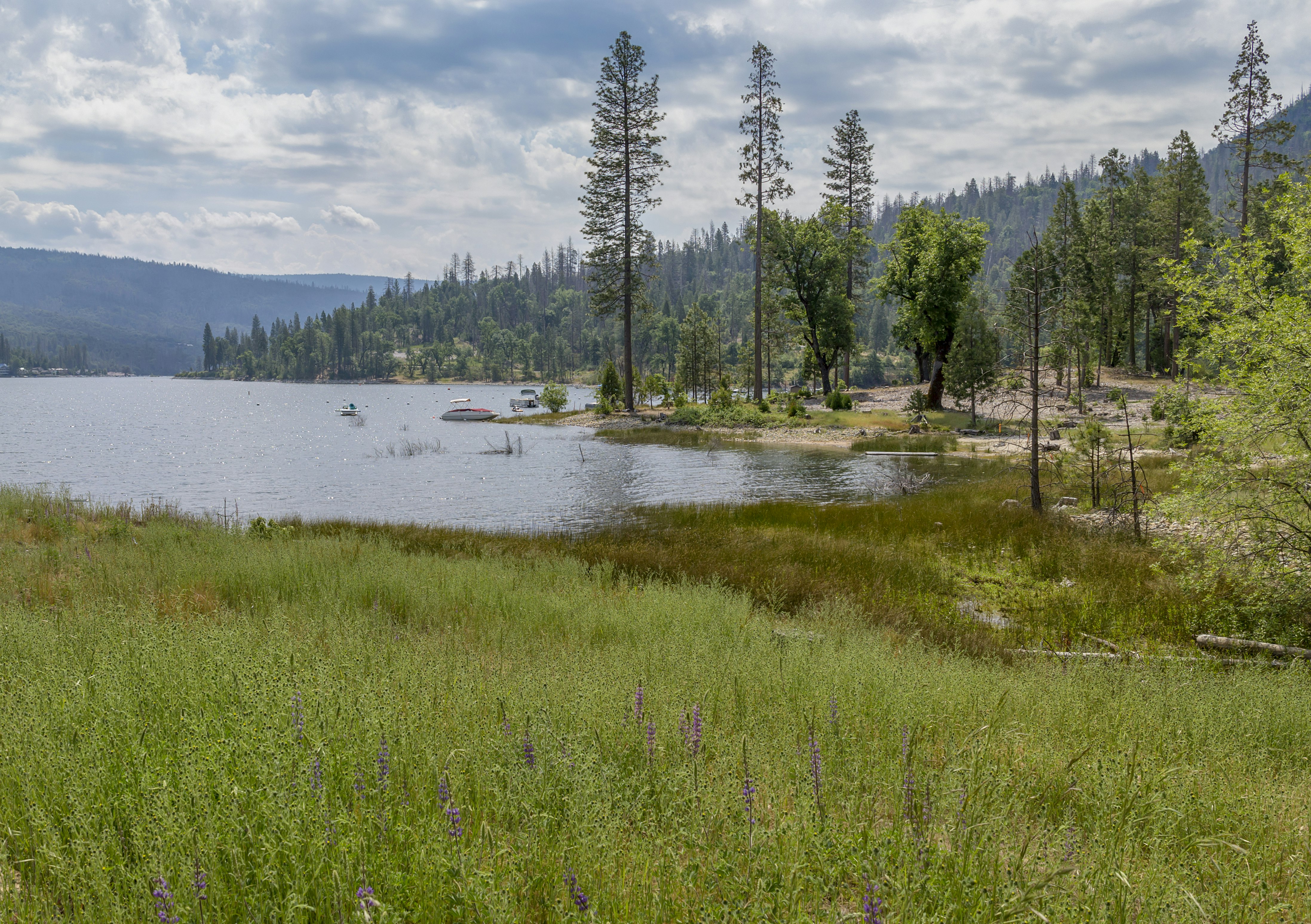 Worldmark Bass Lake 33/55