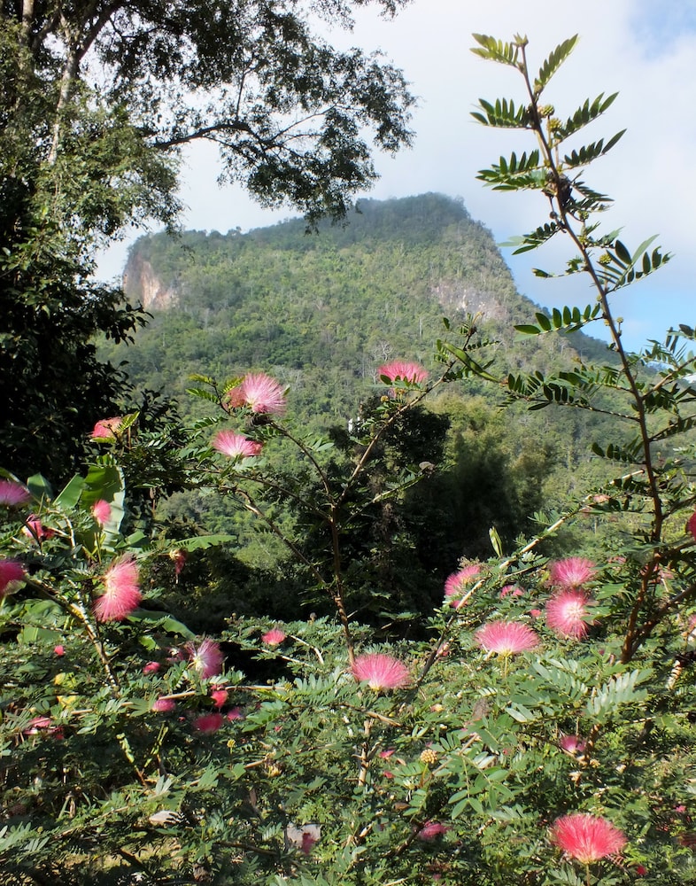 Chiang Dao Roundhouses 31/47