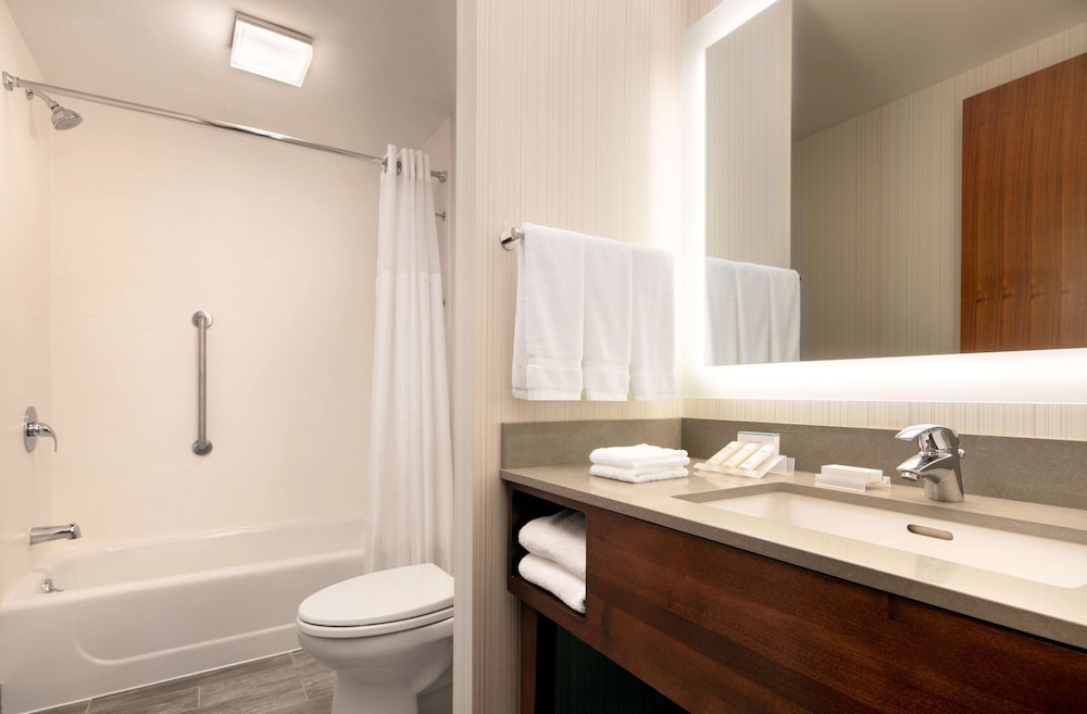 Hilton Garden Inn Long Island City New York 18/62