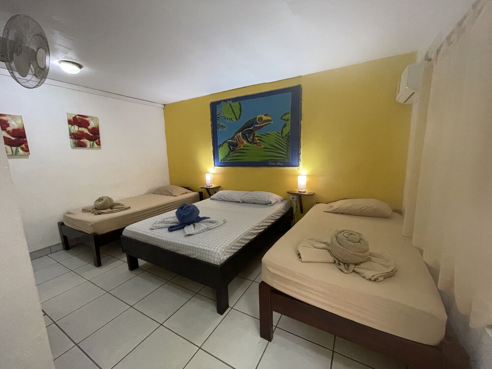 Hotel Aurora 14/50