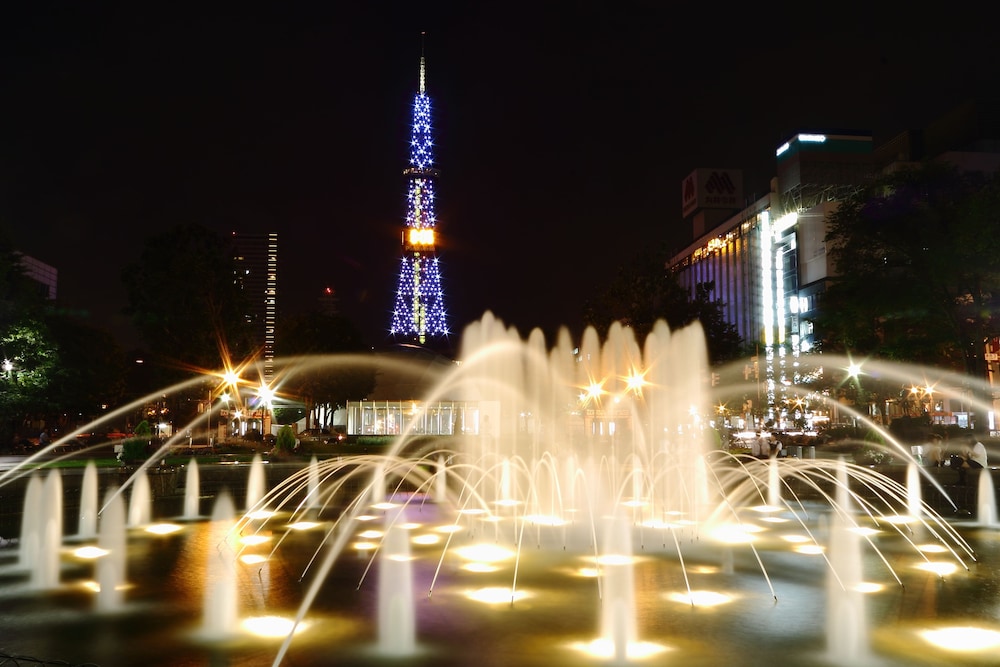 Smile Hotel Premium Sapporo Susukino 64/67