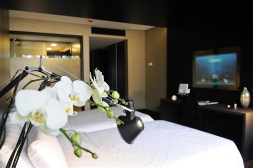 Room, Double or Twin Bed, Garden View
