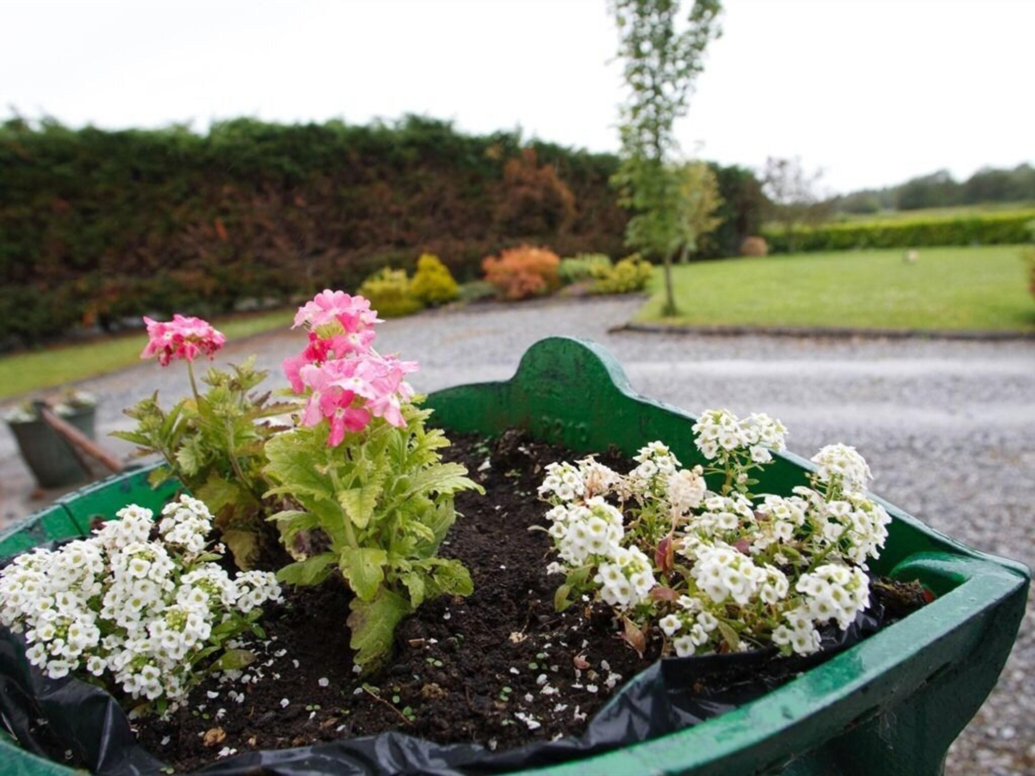 Dun Cromain Bed & Breakfast 8/22