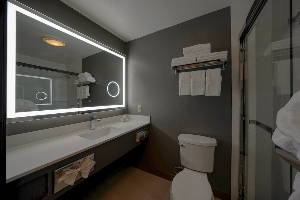 Holiday Inn Express Hotel Suites Santa Clara Silicon Valley 26/75