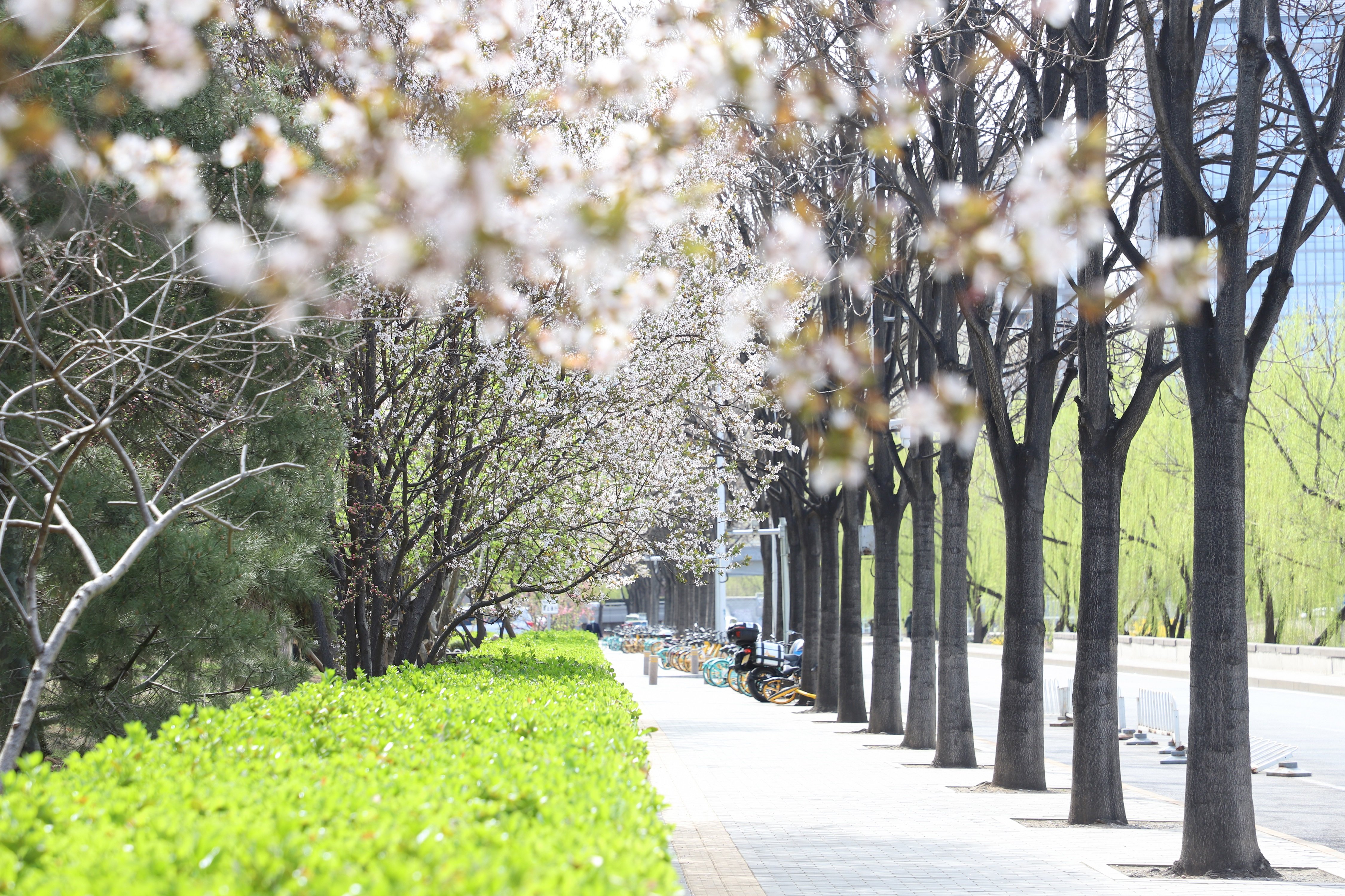 Crowne Plaza Beijing Sun Palace 74/78