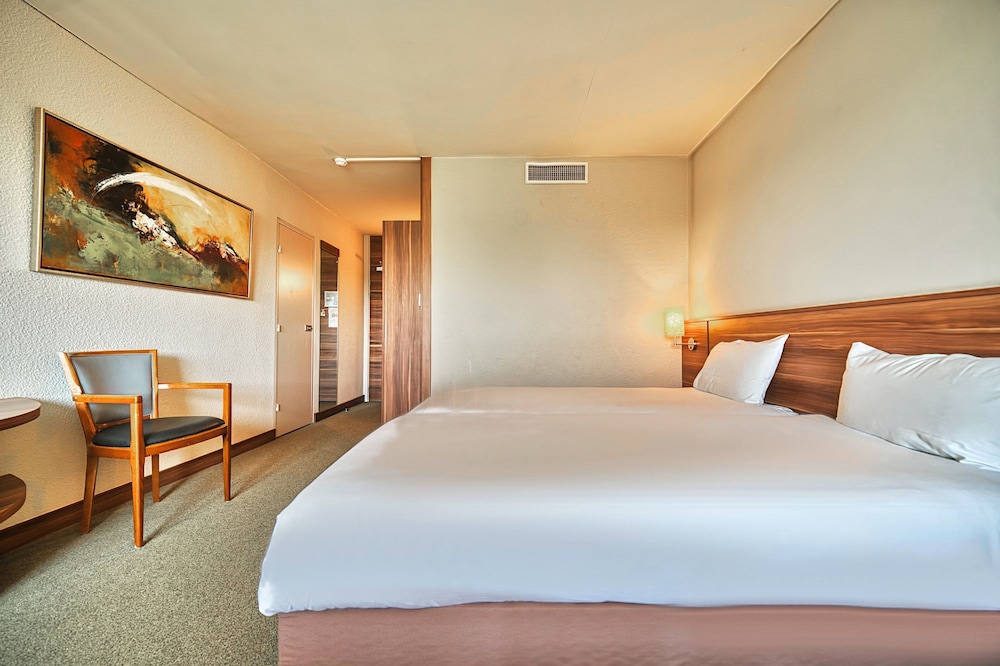Kyriad Prestige Mulhouse Basel 13/50
