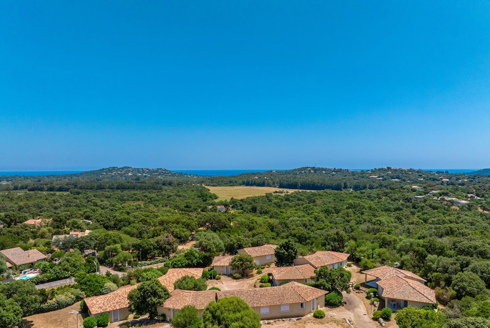 San Martinu 39/50