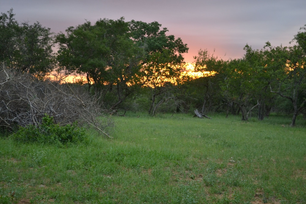 Mali Mali Safari Lodge 40/50