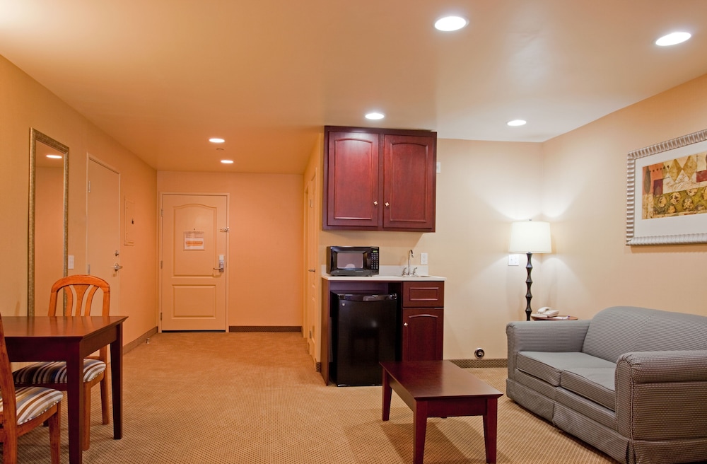 Holiday Inn Express and Suites Los Angeles Airport Hawthorne 35/53