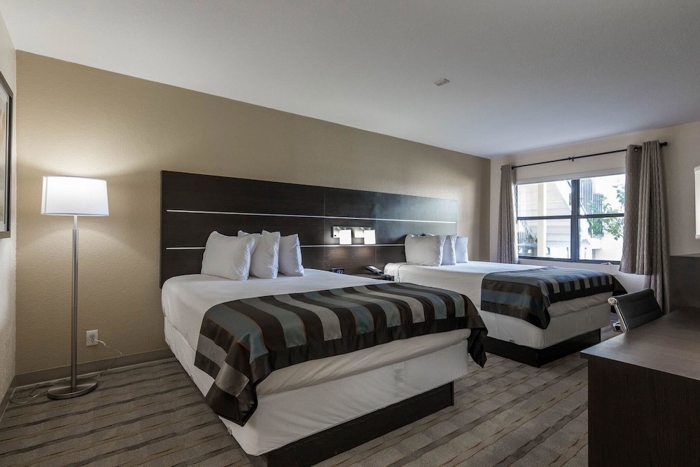 Baymont By Wyndham Punta Gorda/Port Charlotte 23/50