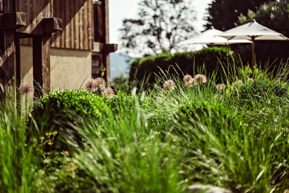 surroundings