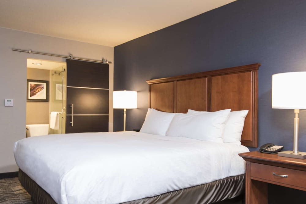 DoubleTree by Hilton Hotel Schenectady 17/51