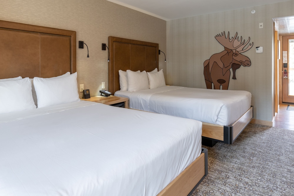 SUPERIOR, 2 QUEEN BEDS