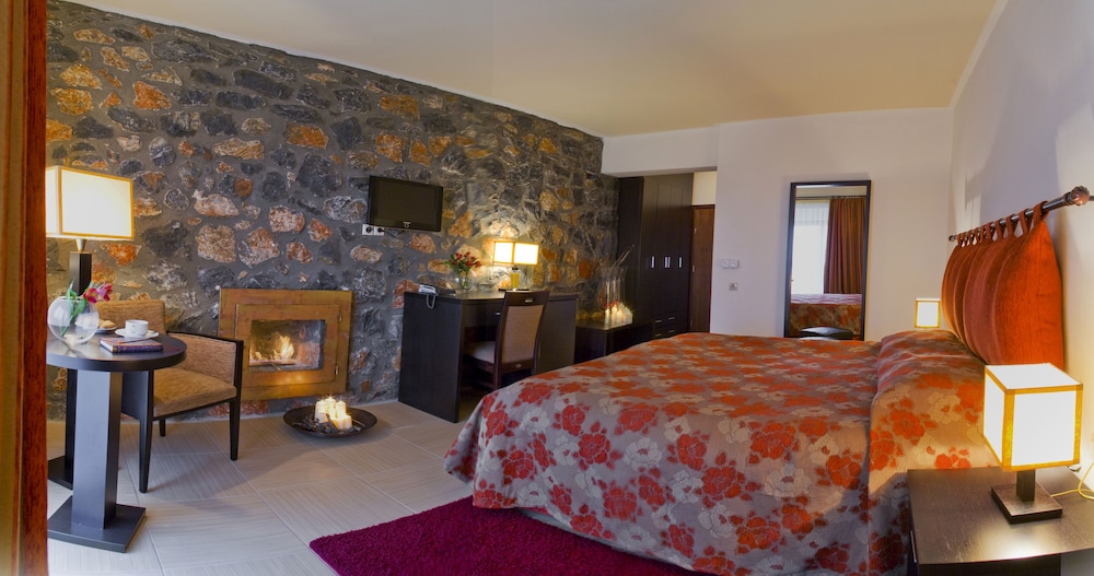 Domotel Neve Mountain Resort & Spa 11/64