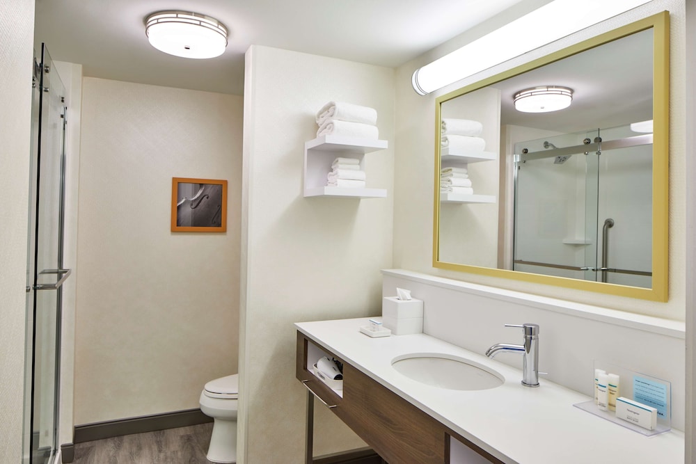 Hampton Inn and Suites Atlanta Midtown 21/53