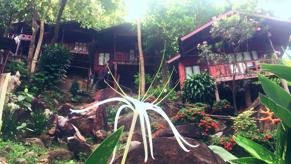 Phi Phi Green Hill Resort 24/34