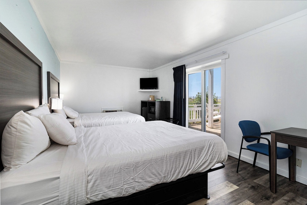 Snyder Apos S Shoreline Inn 13/73