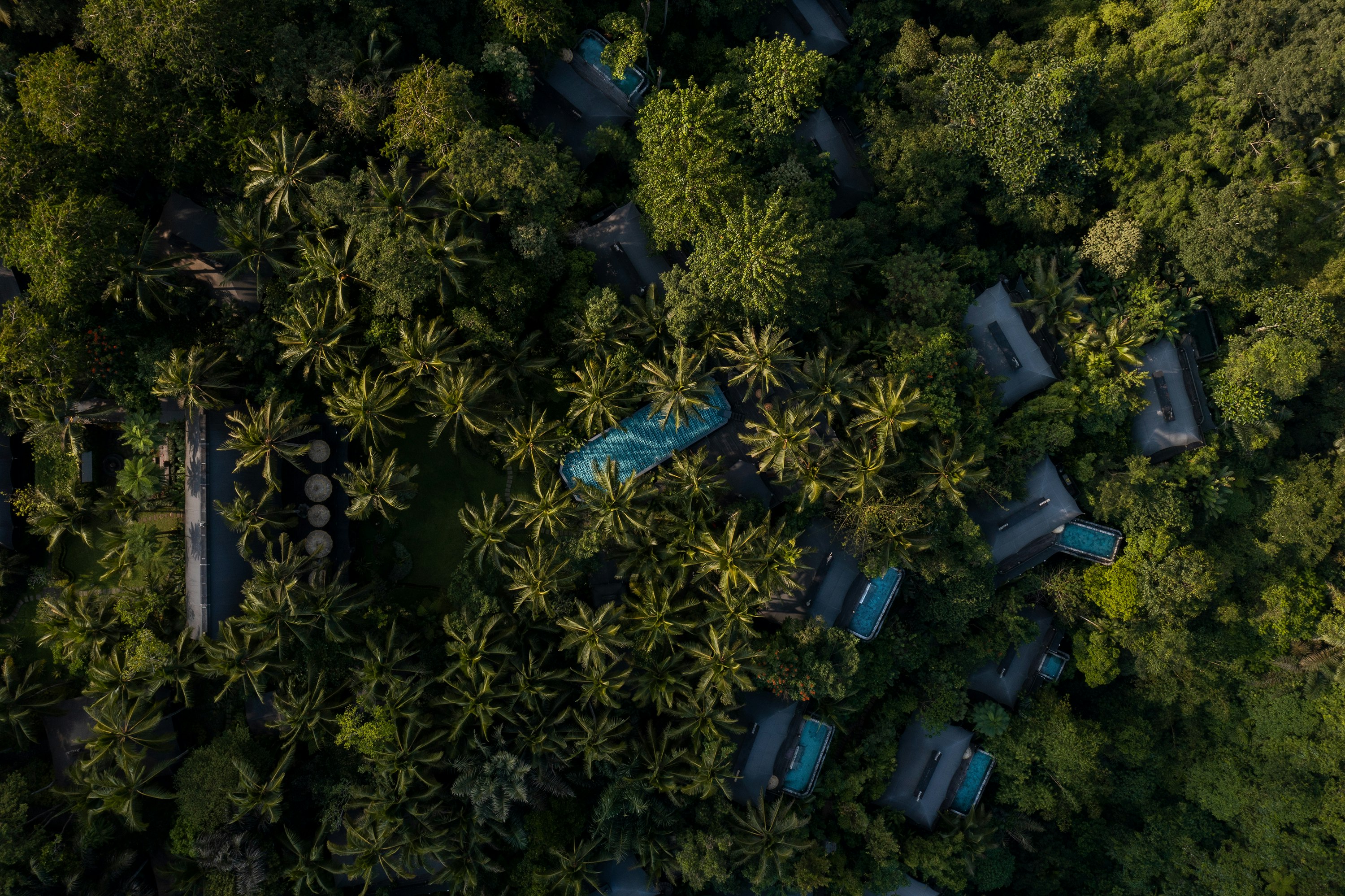 Capella Ubud Bali 32/43
