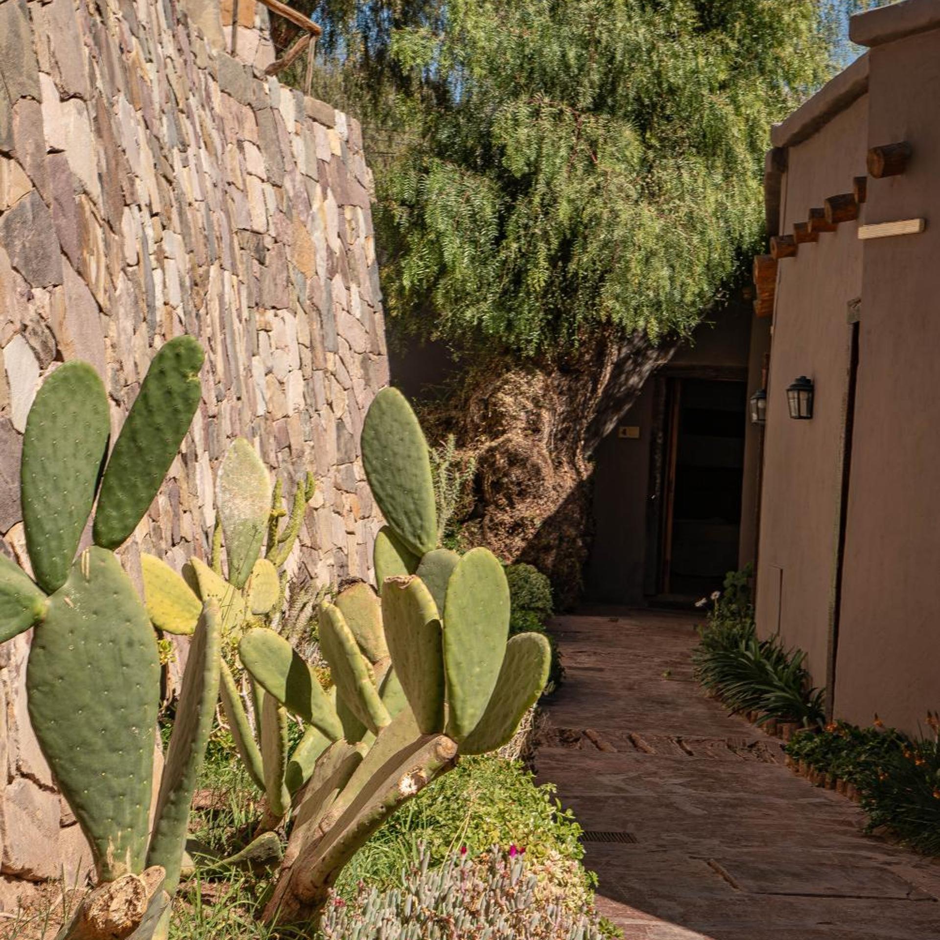 Las Terrazas Hotel Boutique 69/77