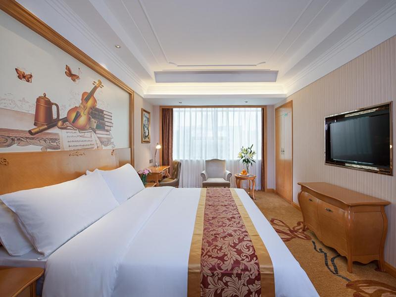 Venus International Hotel Shenzhen Gongming Square Metro Station Tianhong Branch 6/18