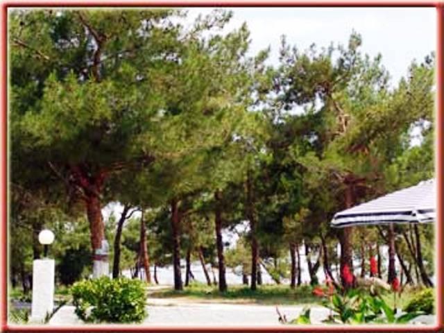 Villa Iris 18/20
