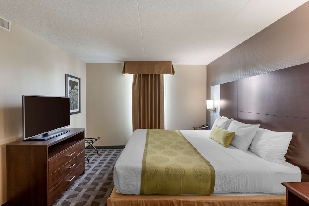 Standard, King Bed, Atrium View, No Elevator