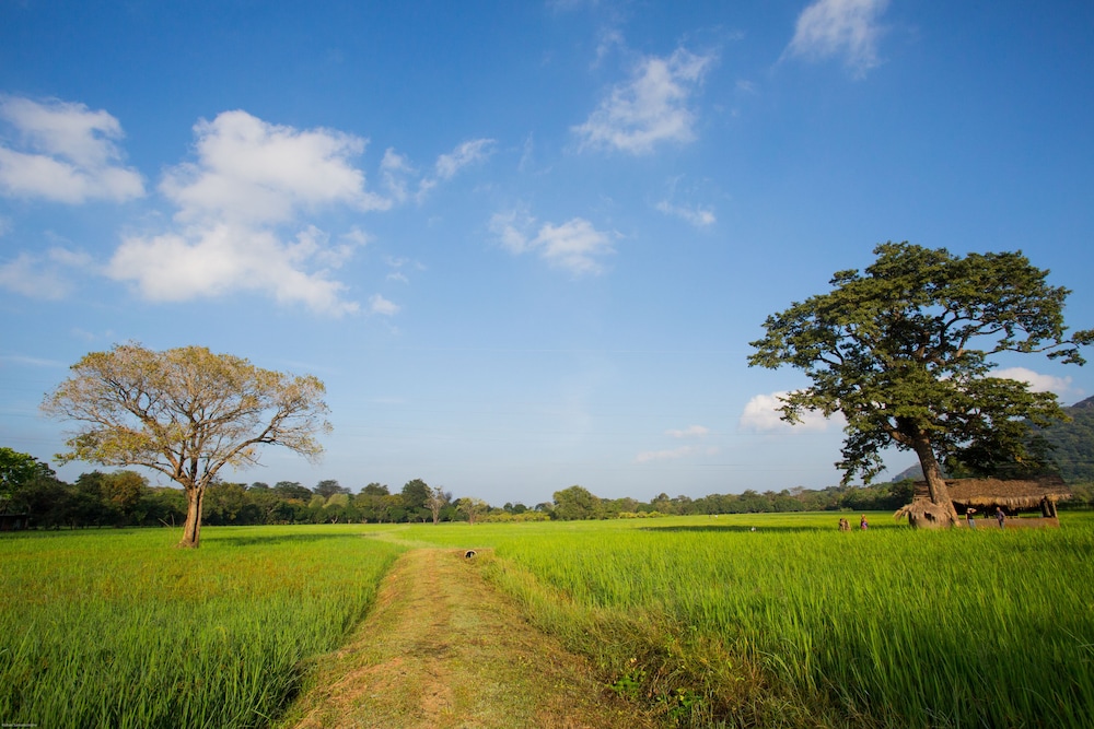Kalundewa Retreat 48/65