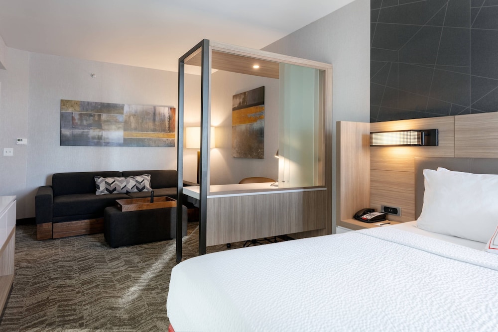 SpringHill Suites by Marriott Chattanooga South/Ringgold, GA 12/33
