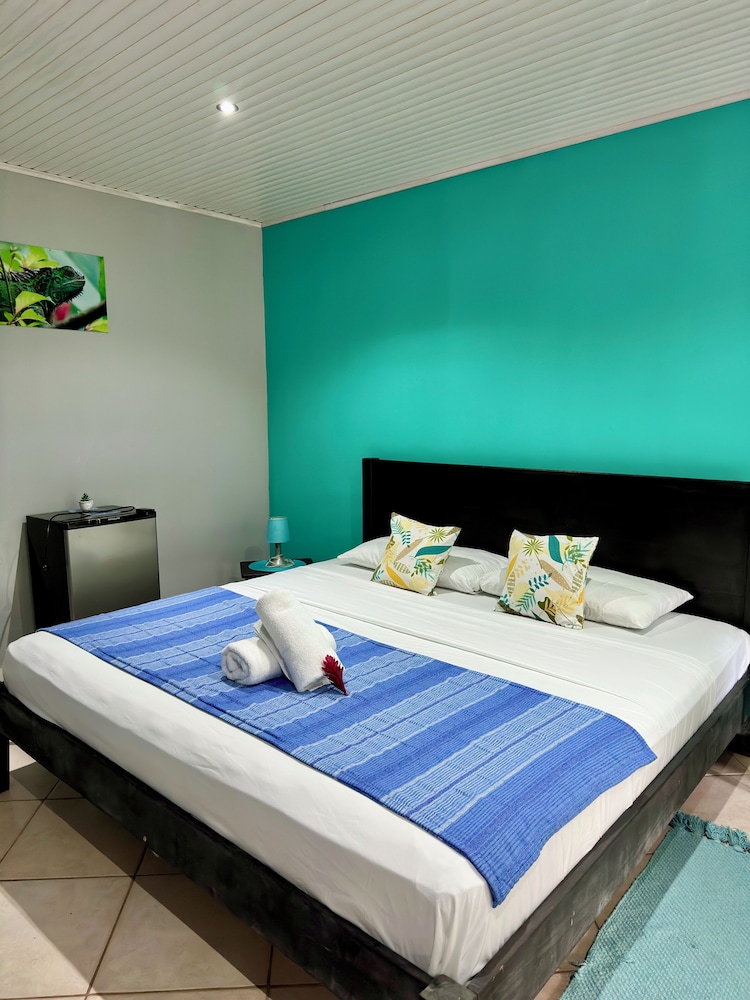 Hotel Colibri 15/50