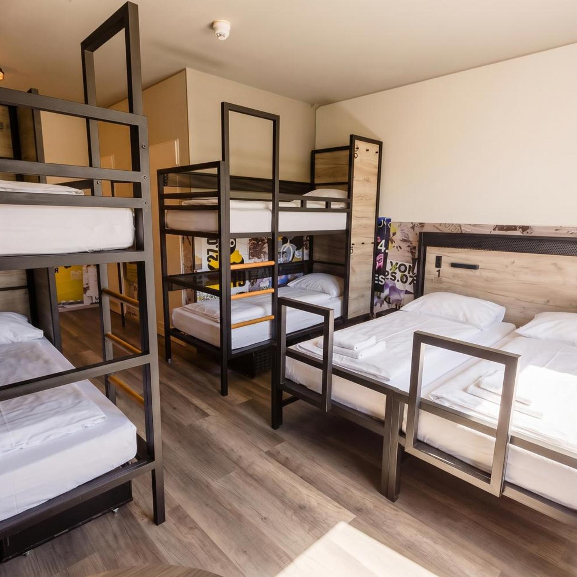 Room, 8 Beds