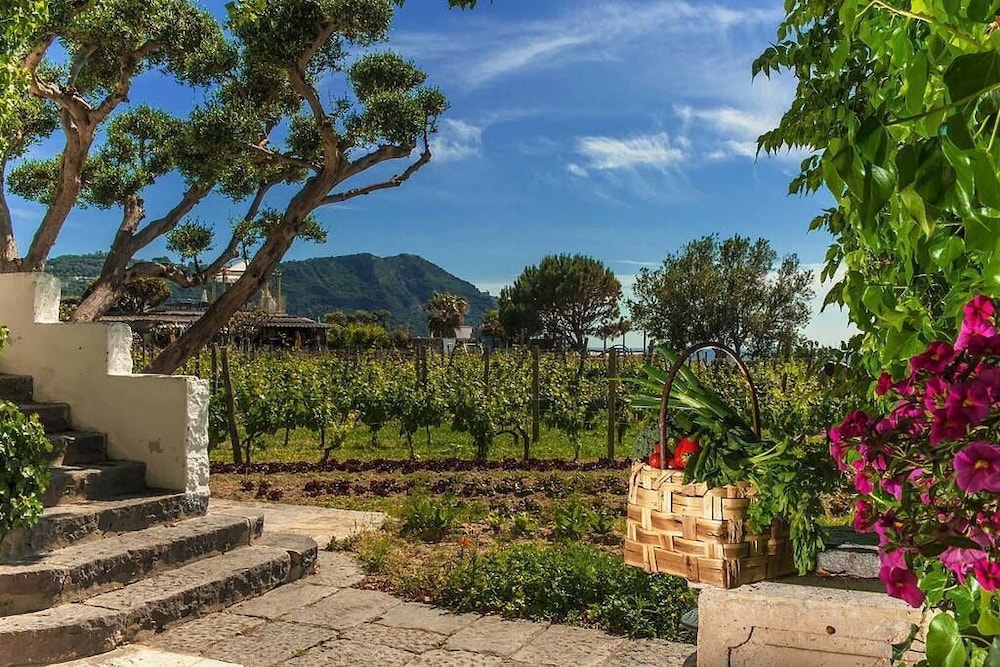 Il Gattopardo Hotel Terme and Beauty Farm 41/50