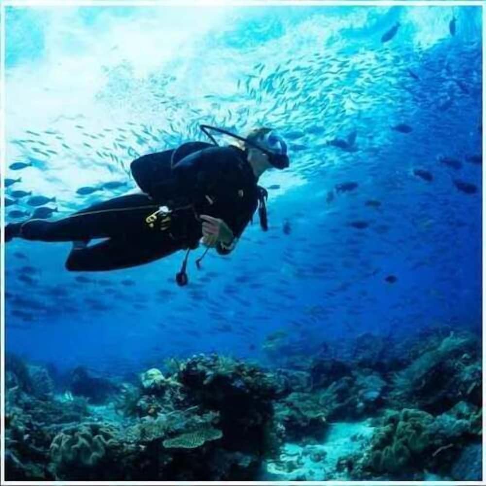 Ancora Finisterre 46/50