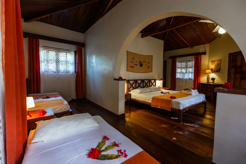 Corail Noir Hotel 9/50