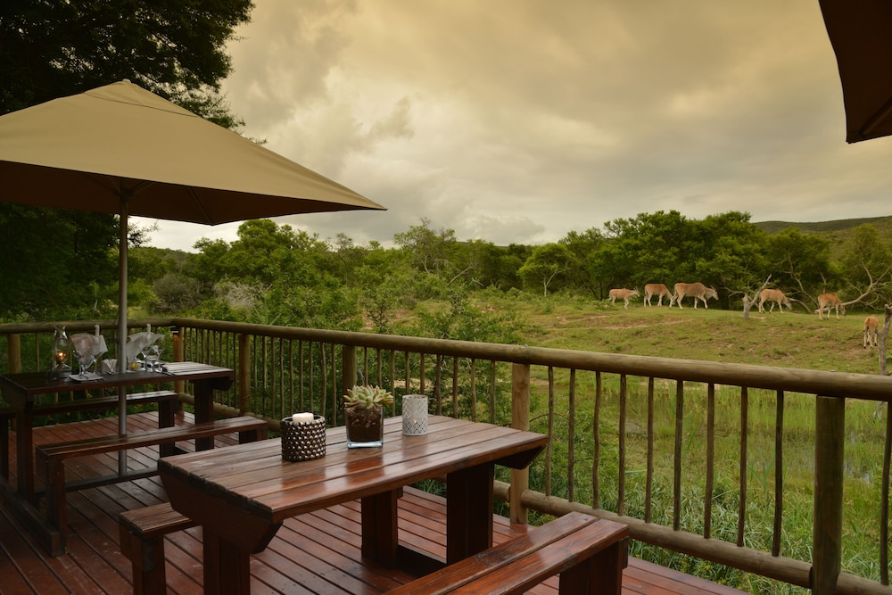 Garden Route Safari Camp 27/50