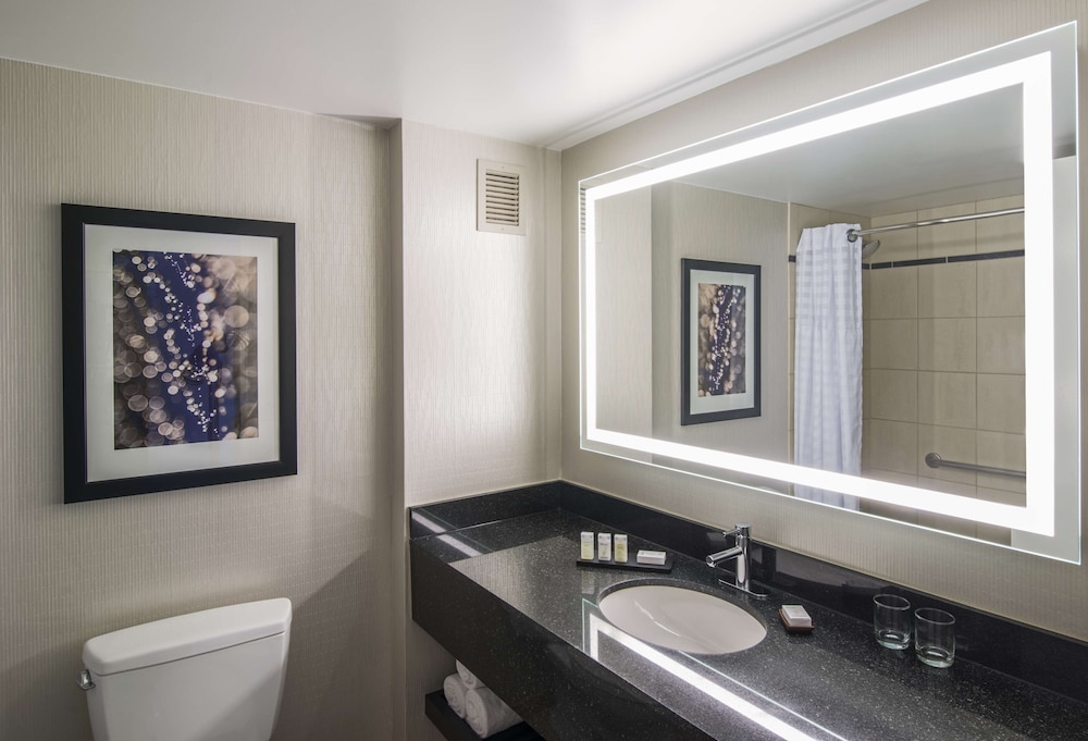 Embassy Suites by Hilton Chicago Downtown Magnificent Mile 15/53