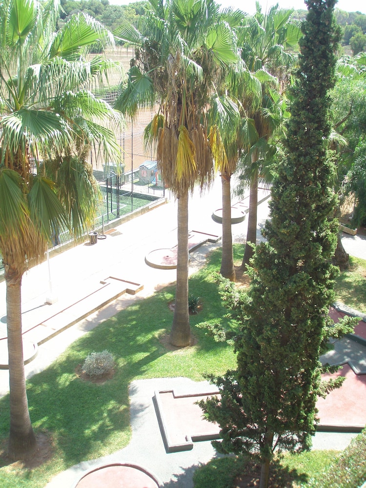 Don Miguel Playa 32/33