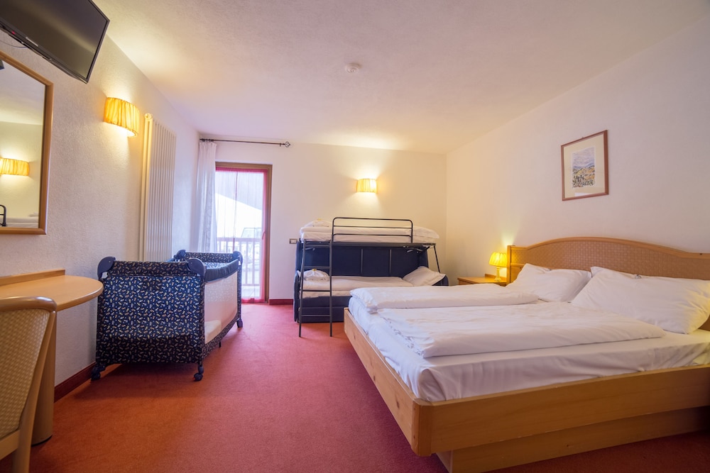 Hotel Grizzly 18/50