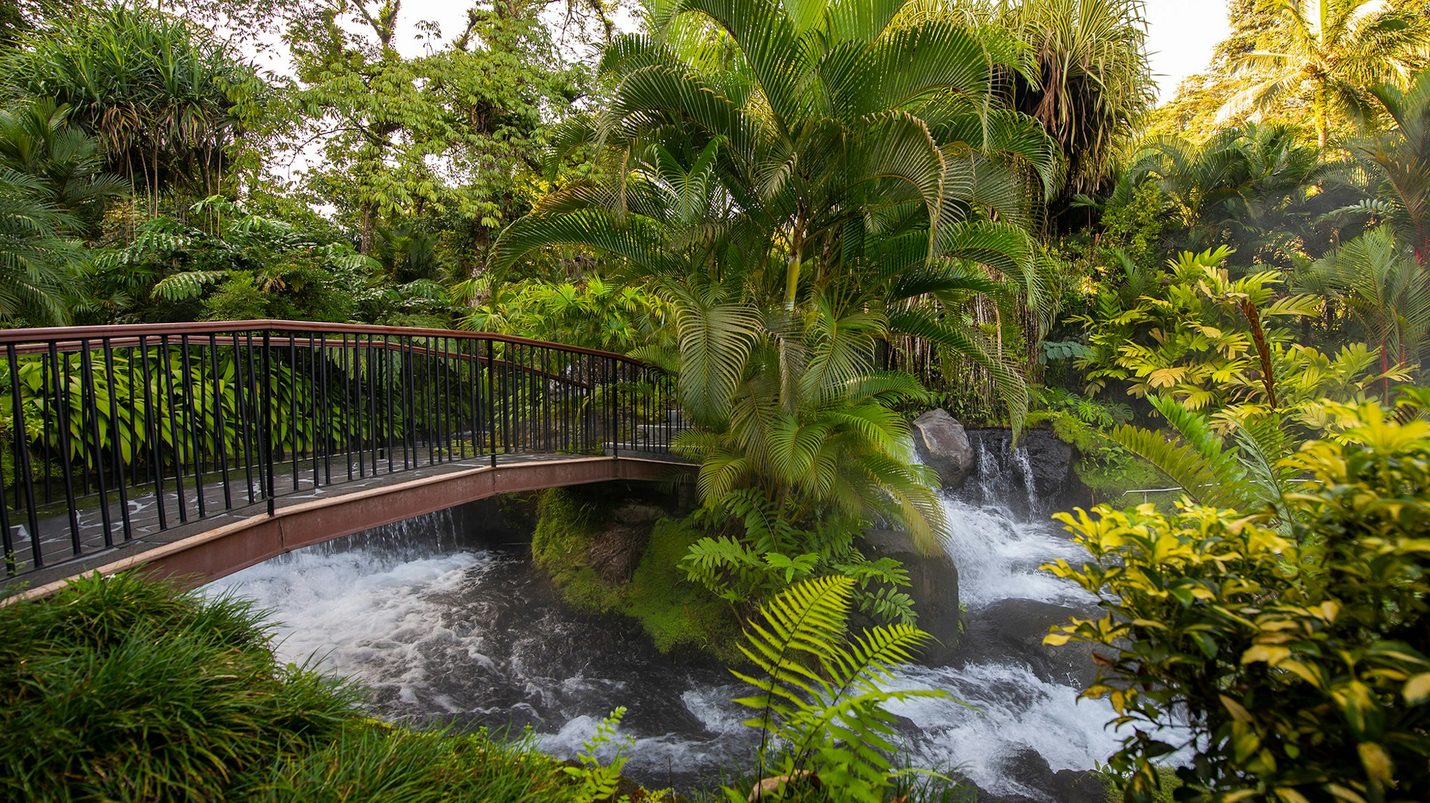 Tabacon Thermal Resort and Spa 73/81