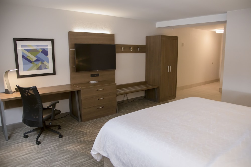 Holiday Inn Express and Suites Colorado Springs North an IHG Hotel 14/67