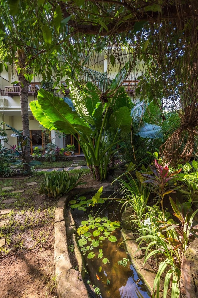 Arjuna Homestay 61/67